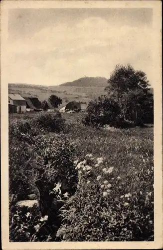 Ak Geising Altenberg im Erzgebirge, Panorama