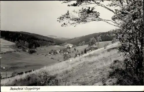 Ak Rehefeld Zaunhaus Altenberg im Erzgebirge, Panorama