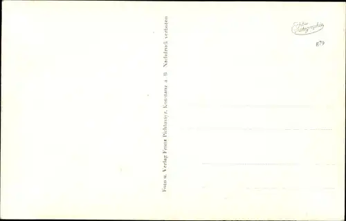 Ak Insel Reichenau am Bodensee, Teilansicht