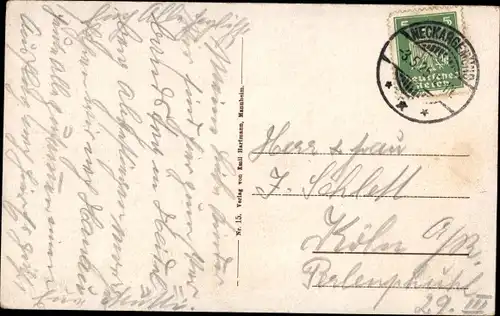 Ak Neckargemünd am Neckar, Panorama