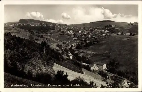 Ak Sankt Andreasberg Braunlage im Oberharz, Panorama vom Treibholz