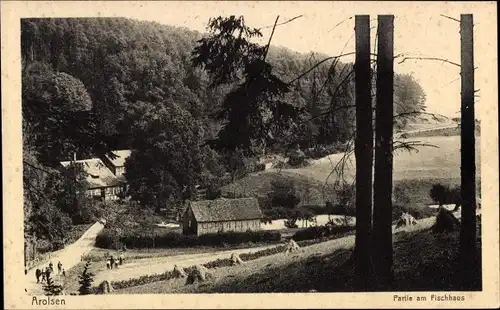 Ak Bad Arolsen in Hessen, am Fischhaus, Wald