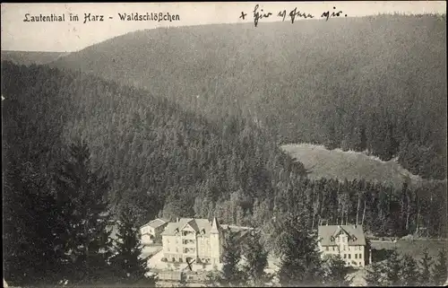 Ak Lautenthal Langelsheim im Oberharz, Waldschlößchen