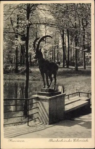 Ak Eilenriede Hannover in Niedersachsen, Steinbock