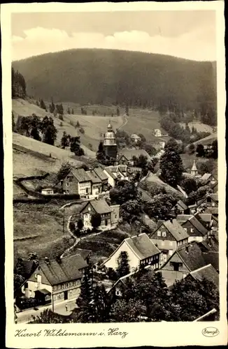 Ak Wildemann Clausthal Zellerfeld im Oberharz, Teilansicht, Blick über die Dächer