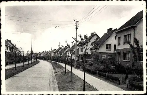 Ak Herentals Flandern Antwerpen Belgien, De Molekens