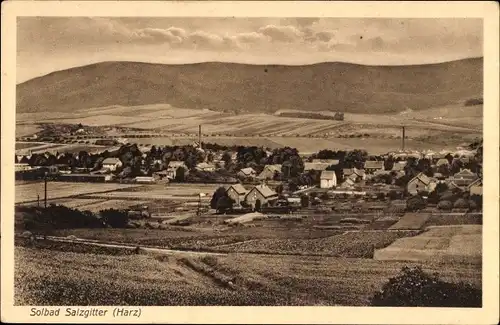 Ak Salzgitter in Niedersachsen, Gesamtansicht