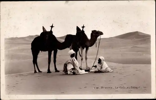 Ak Biskra Algerien, La Halte au Desert, chameaux, indigenes