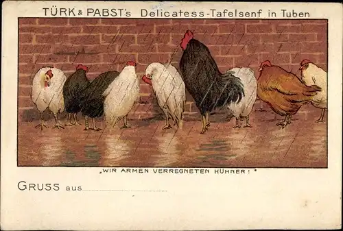 Künstler Ak Wir armen verregneten Hühner, Reklame Türk & Pabst's Delicatess Tafelsenf in Tuben