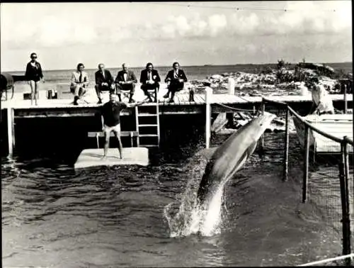 Foto Schauspieler George C. Scott, Filmszene Der Tag der Delfine, Pressefoto