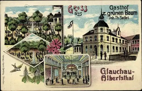 Litho Albertsthal Glauchau in Sachsen, Gasthof zum grünen Baum, Saal, Garten