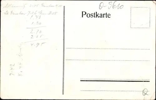 Litho Albertsthal Glauchau in Sachsen, Gasthof zum grünen Baum, Saal, Garten