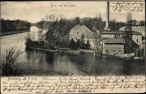 Ak Bernburg an der Saale, Teilansicht, Flusspartie