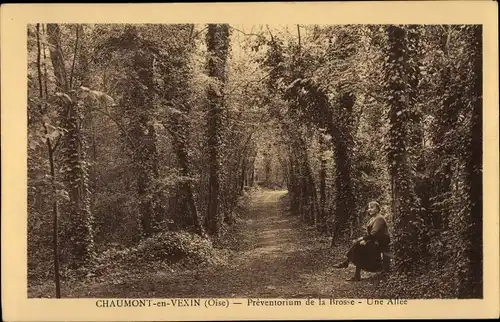 Ak Chaumont en Vexin Oise, Preventorium de la Brosse, Une Allee