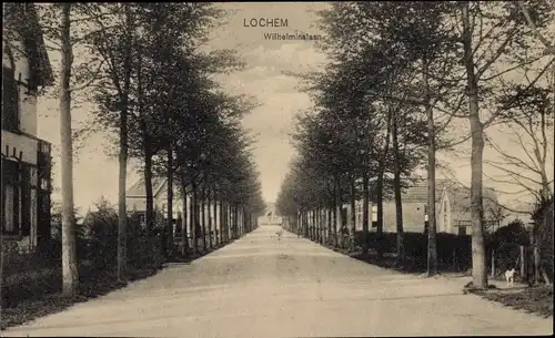 Ak Lochem Gelderland, Wilhelminalaan