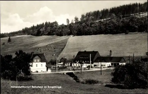 Ak Rehefeld Zaunhaus Altenberg im Erzgebirge, Teilansicht