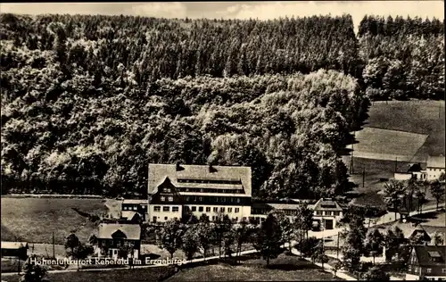 Ak Rehefeld Zaunhaus Altenberg im Erzgebirge, Totalansicht