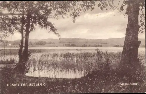 Ak Silkeborg Dänemark, Svejbak, Landschaft