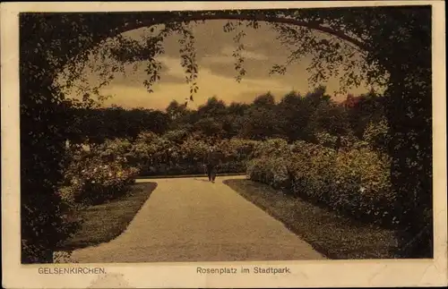 Ak Gelsenkirchen im Ruhrgebiet, Rosenplatz, Stadtpark