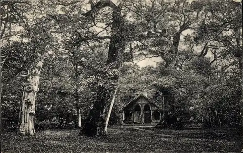 Ak Neuenburg Zetel in Friesland, Partie im Urwald, Jagdhütte, Bäume