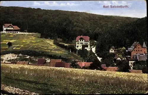 Ak Bad Salzdetfurth in Niedersachsen, Stadtpanorama, Felder