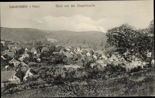 Ak Lauenstein Salzhemmendorf in Niedersachsen, Totalansicht, Ziegenbuche