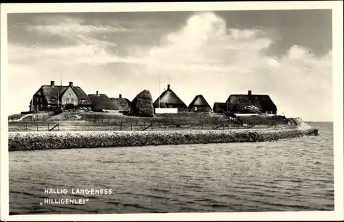Ak Hallig Langeness Langeneß Nordfriesland, Hilligenlei
