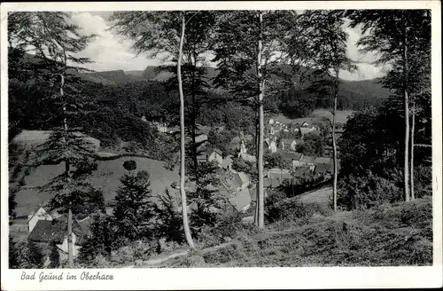 Ak Bad Grund im Harz, Panorama