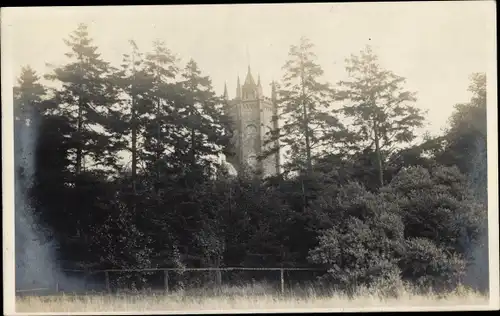 Foto Ak Hessenstein Panker an der Ostsee, Turm, Bäume