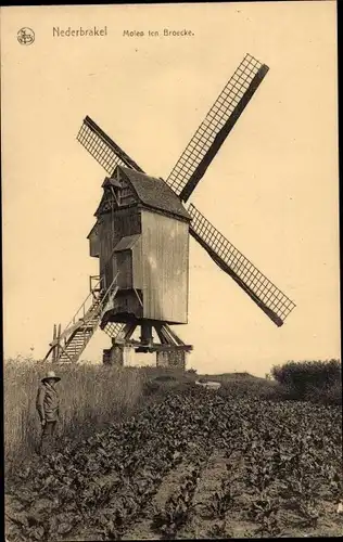 Ak Nederbrakel Ostflandern, Molen ten Broecke