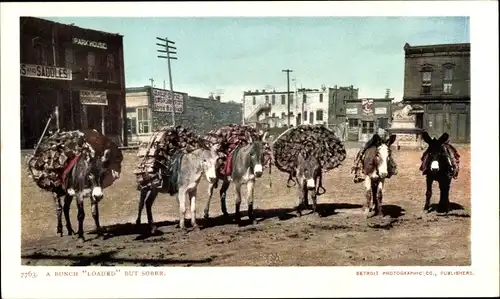 Ak Esel mit Holz beladen