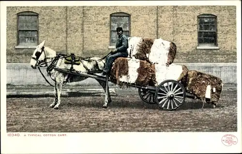 Ak Kentucky USA, Baumwoll-Fuhrwerk