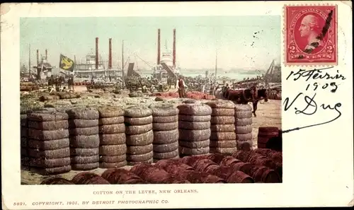 Ak New Orleans Louisiana USA, Hafen, Verschiffung von Baumwolle