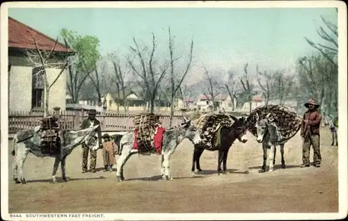 Ak Lastenzug im Südwesten der USA, Esel mit Holz beladen
