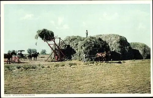 Ak USA, Alfalfa-Feld, Landmaschinen