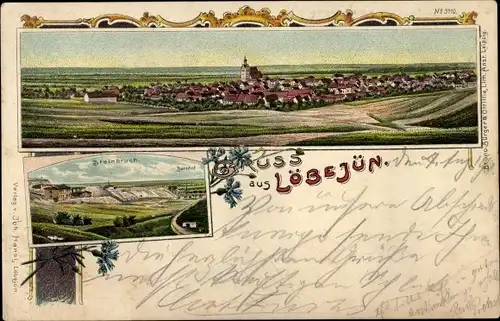 Litho Löbejün im Saalekreis, Totalansicht, Blumen