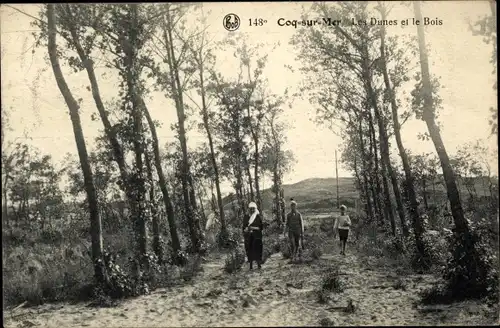 Ak De Haan Le Coq sur Mer Westflandern, Dünen, Le Bois