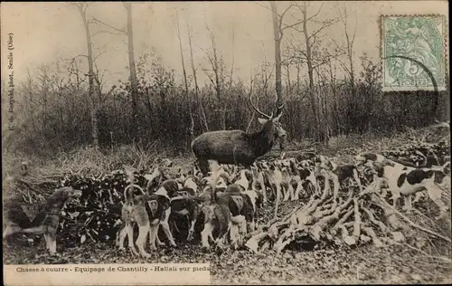 Ak Chantilly Oise, Jagd, Crew, Hallali zu Fuß