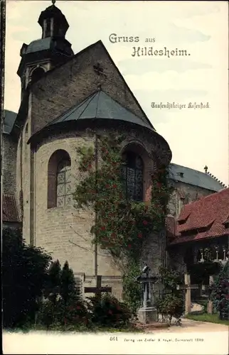 Ak Hildesheim in Niedersachsen, Kirche mit tausendjährigem Rosenstock
