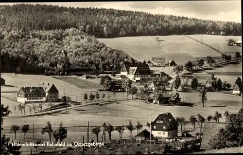 Ak Rehefeld Zaunhaus Altenberg im Erzgebirge, Totalansicht