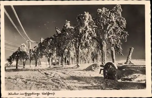 Ak Rehefeld Zaunhaus Altenberg im Erzgebirge, Winter