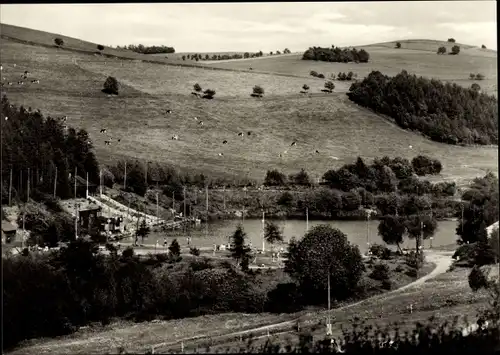 Ak Geising Altenberg Erzgebirge, Stadtbad Hüttenteich, Kuhweide