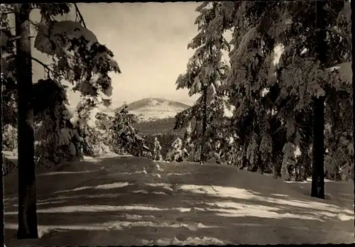 Ak Geising Altenberg im Erzgebirge, Blick vom Kohleberg auf den Geisingberg, Winter