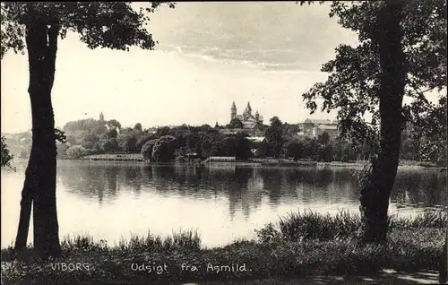 Ak Viborg Dänemark, Asmild, Ortsansicht