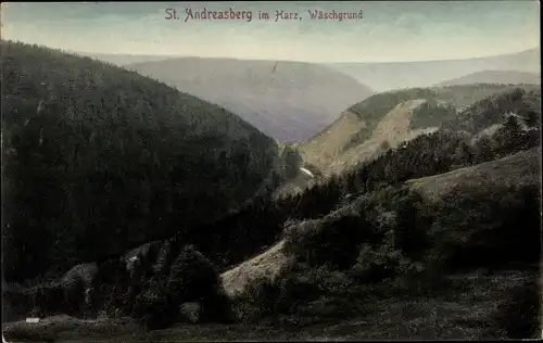 Ak Sankt Andreasberg Braunlage im Oberharz, Wäschgrund, Panorama