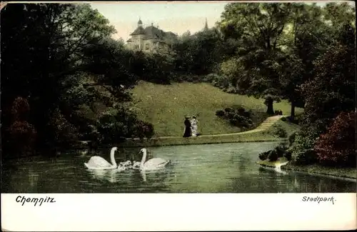 Ak Chemnitz in Sachsen, Stadtpark, Schwäne, Spaziergänger