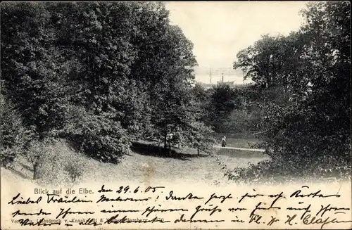 Ak Hamburg Mitte Altstadt, Elbblick, Bäume