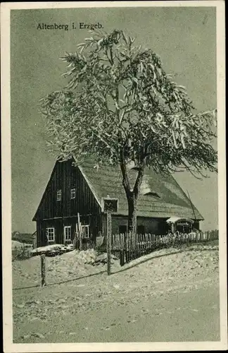 Ak Altenberg im Erzgebirge, Wohnhaus, Winterszene, Baum