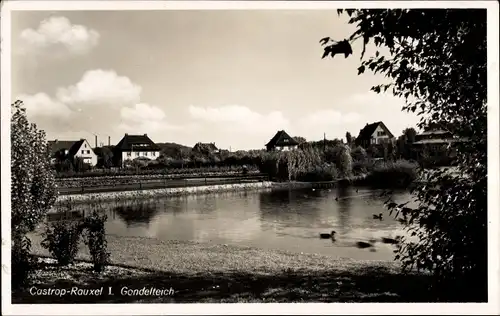 Ak Castrop Rauxel im Ruhrgebiet, Gondelteich