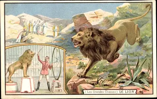 Litho Reklame, Lombard Chocolate, The Great Hunts, The Lion, Löwe, Zirkus